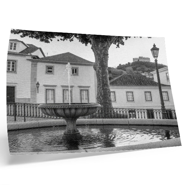 Affiche et poster Fontaine en noir et blanc, bâtiments classiques, château