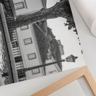 Affiche et poster fontaine en noir et blanc avec des bâtiments classiques et un château