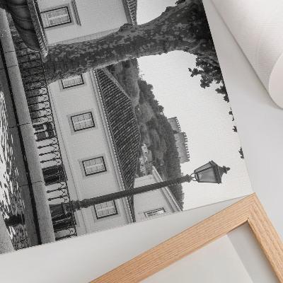 Affiche et poster Fontaine en noir et blanc, bâtiments classiques, château
