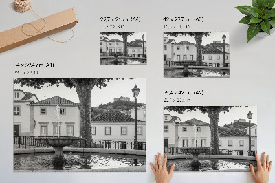 Affiche et poster Fontaine en noir et blanc, bâtiments classiques, château