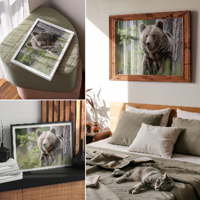Affiche et poster Un ours dans une forêt pleine de charme naturel