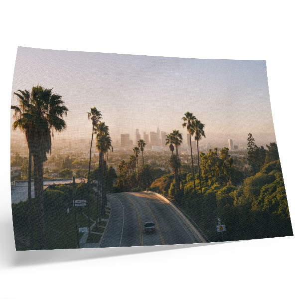 Affiche et poster Palmiers et silhouette de la ville sous le soleil
