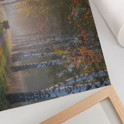 Affiche décorative bouleaux symétriques dans une allée d'automne sous une lumière brumeuse