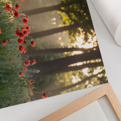 Affiche et poster Coquelicots rouges, forêt verte, rayons de soleil
