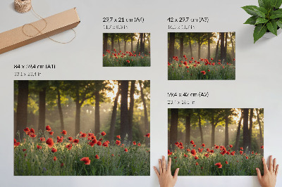 Affiche et poster Coquelicots rouges, forêt verte, rayons de soleil