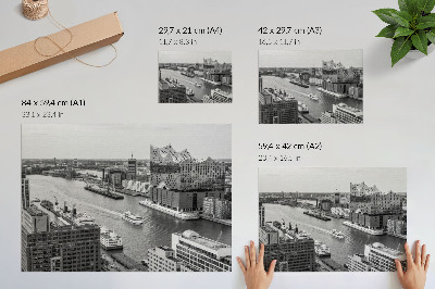 Affiche et poster Architecture emblématique du fleuve de la ville moderne