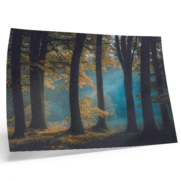Affiche décorative Forêt paisible, soleil du matin, feuilles colorées