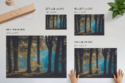 Affiche décorative Forêt paisible, soleil du matin, feuilles colorées