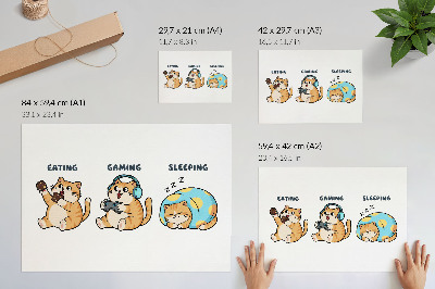 Affiche décorative Illustrations de chats drôles, mignons et amusants