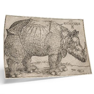 Affiche décorative Rhinocéros (1515) d'Albrecht Dürer