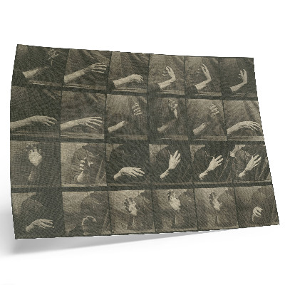 Affiche Locomotion animale, planche 535 (1887) par Eadweard Muybridge
