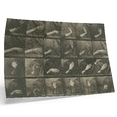 Affiche Locomotion animale planche 535 de 1887 par Eadweard Muybridge