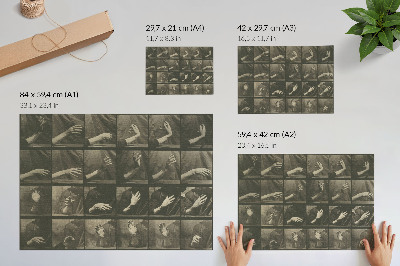 Affiche Locomotion animale, planche 535 (1887) par Eadweard Muybridge