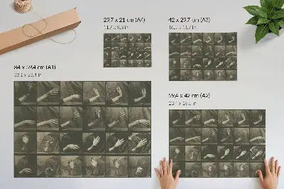 Affiche Locomotion animale planche 535 de 1887 par Eadweard Muybridge