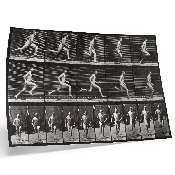 Affiche et poster Planche 60 de Locomotion animale (1887), photographiée par Eadweard Muybridge