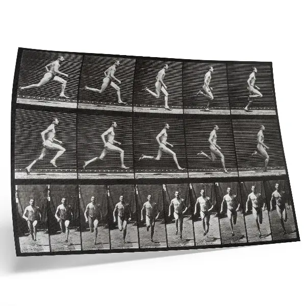 Affiche et poster représentant la planche 60 de Locomotion animale (1887) par Eadweard Muybridge