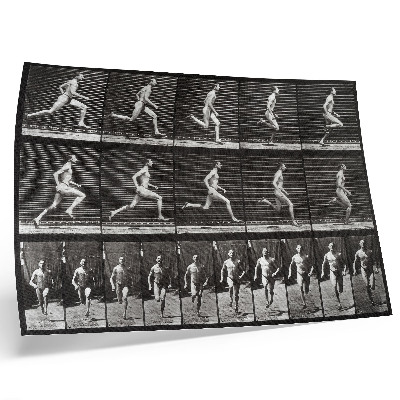 Affiche et poster Planche 60 de Locomotion animale (1887), photographiée par Eadweard Muybridge