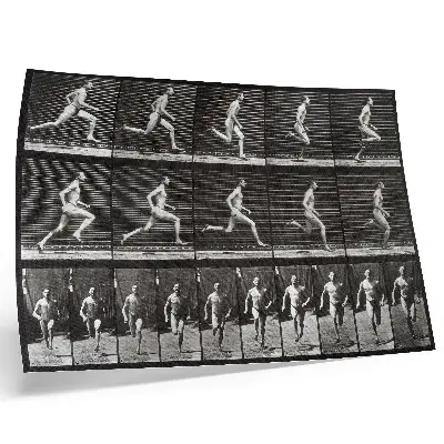 Affiche et poster représentant la planche 60 de Locomotion animale (1887) par Eadweard Muybridge