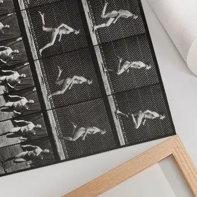 Affiche et poster représentant la planche 60 de Locomotion animale (1887) par Eadweard Muybridge