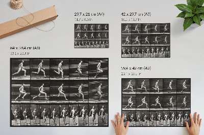 Affiche et poster Planche 60 de Locomotion animale (1887), photographiée par Eadweard Muybridge