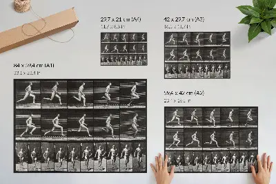 Affiche et poster représentant la planche 60 de Locomotion animale (1887) par Eadweard Muybridge