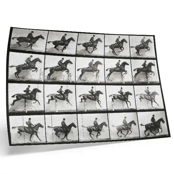 Affiche planche 640 de « Animal Locomotion » (1887) représentant une équitation par Eadweard Muybridge