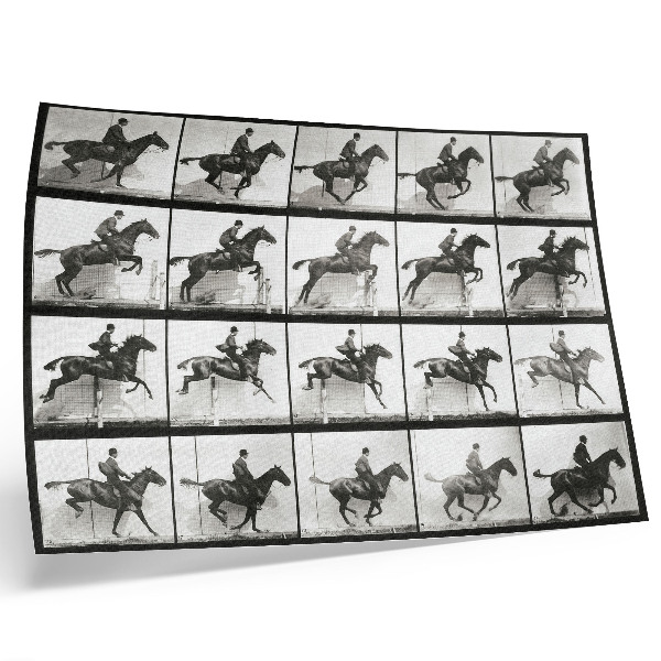 Affiche Planche 640 de « Animal Locomotion » (1887), représentation d'une équitation par Eadweard Muybridge