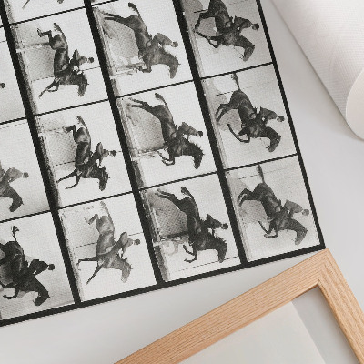 Affiche Planche 640 de « Animal Locomotion » (1887), représentation d'une équitation par Eadweard Muybridge
