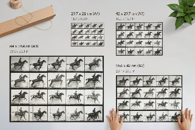 Affiche Planche 640 de « Animal Locomotion » (1887), représentation d'une équitation par Eadweard Muybridge