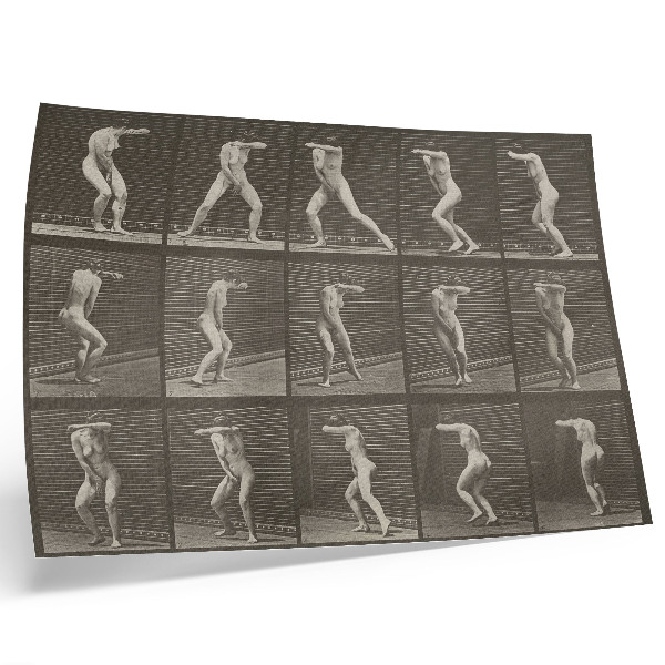 Affiche décorative Planche numéro 73. Se retournant par surprise et fuyant (1887) par Eadweard Muybridge