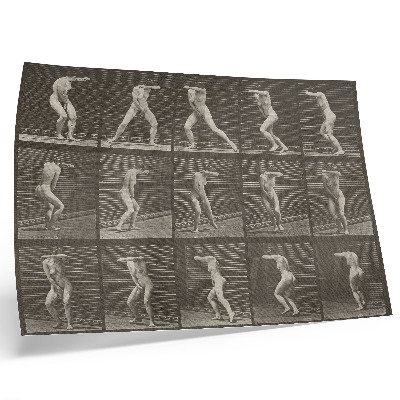 Affiche décorative Planche numéro 73. Se retournant par surprise et fuyant (1887) par Eadweard Muybridge