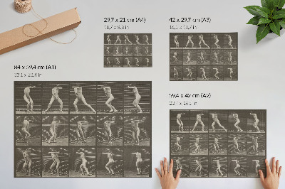 Affiche décorative Planche numéro 73. Se retournant par surprise et fuyant (1887) par Eadweard Muybridge