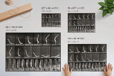 Affiche Un homme se tenant en équilibre sur les mains à partir d'une position allongée sur le dos. Phototype d'après Eadweard Muybridge, 1887.