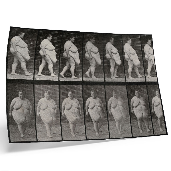 Affiche décorative Femme obèse marchant. Phototype d'après Eadweard Muybridge, 1887