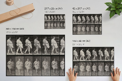 Affiche décorative Femme obèse marchant. Phototype d'après Eadweard Muybridge, 1887