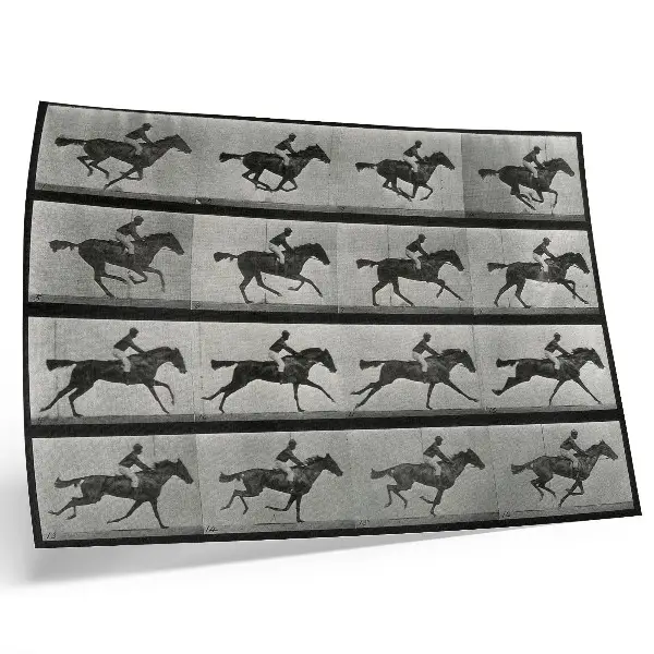 Affiche et poster cheval au galop et cavalier d'après le phototype d'Eadweard Muybridge de 1887