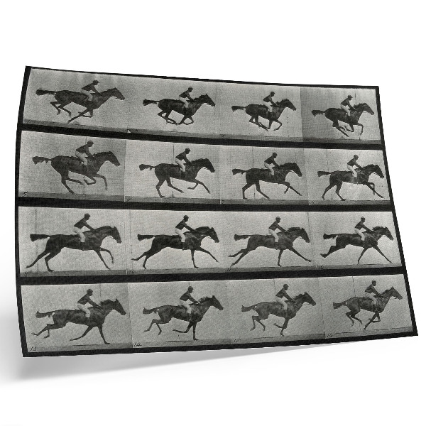 Affiche et poster Cheval au galop et cavalier. Phototype d'après Eadweard Muybridge, 1887
