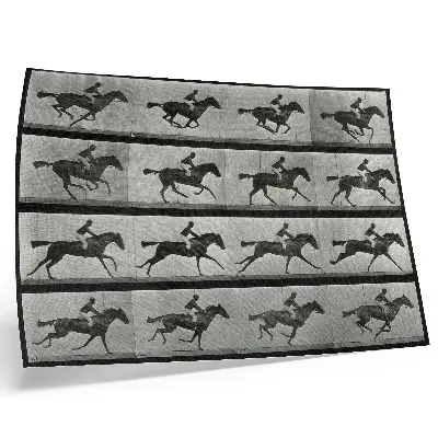 Affiche et poster cheval au galop et cavalier d'après le phototype d'Eadweard Muybridge de 1887