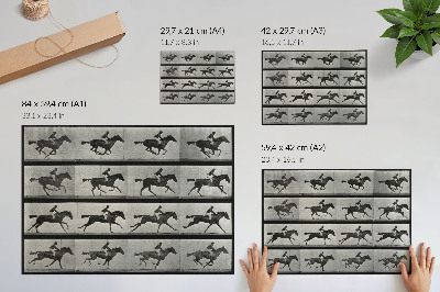 Affiche et poster Cheval au galop et cavalier. Phototype d'après Eadweard Muybridge, 1887