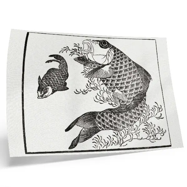 Affiche La carpe d'Hokusai une illustration animalière japonaise