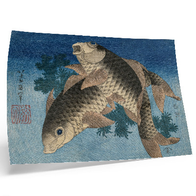 Affiche décorative Carpe nageant parmi les algues (1831) – Illustration japonaise d'un poisson