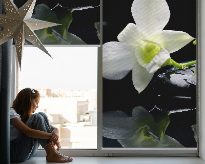 Orchidées et élégance pour intérieur
