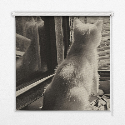 Store enrouleur à motif de chats devant la fenêtre