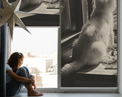 Store enrouleur à motif de chats devant la fenêtre