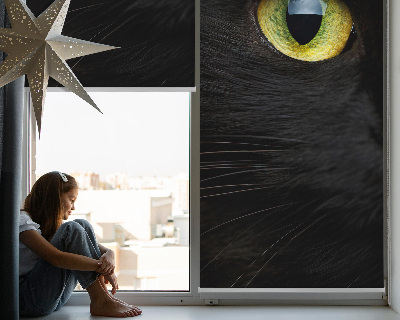 Store intérieur yeux de chat