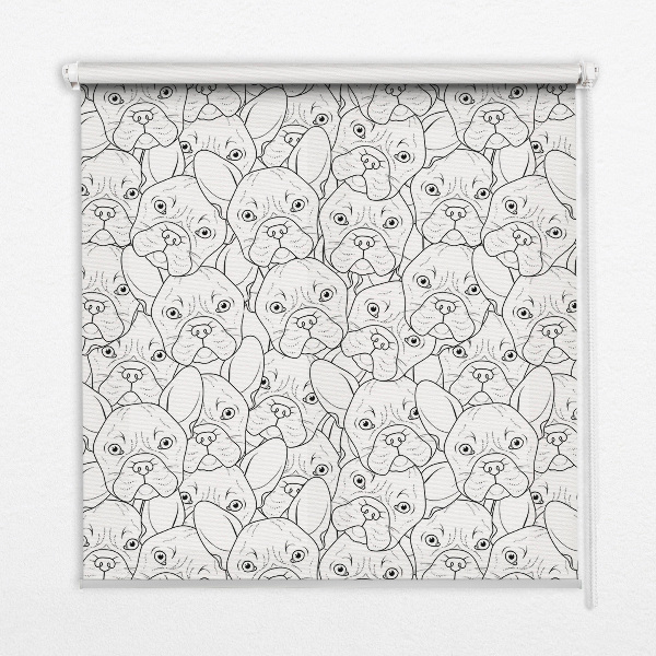 Store intérieur fenêtre avec motifs de chiens dessinés