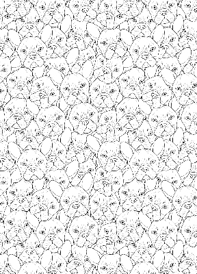 Store intérieur fenêtre avec motifs de chiens dessinés