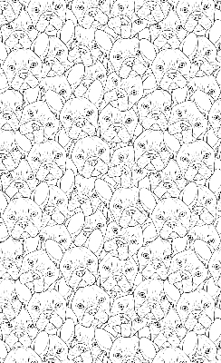 Store intérieur fenêtre avec motifs de chiens dessinés