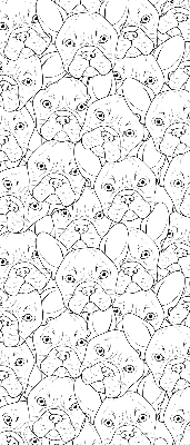 Store intérieur fenêtre avec motifs de chiens dessinés