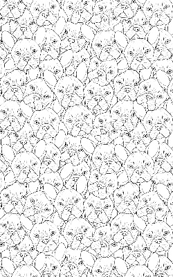 Store intérieur fenêtre avec motifs de chiens dessinés